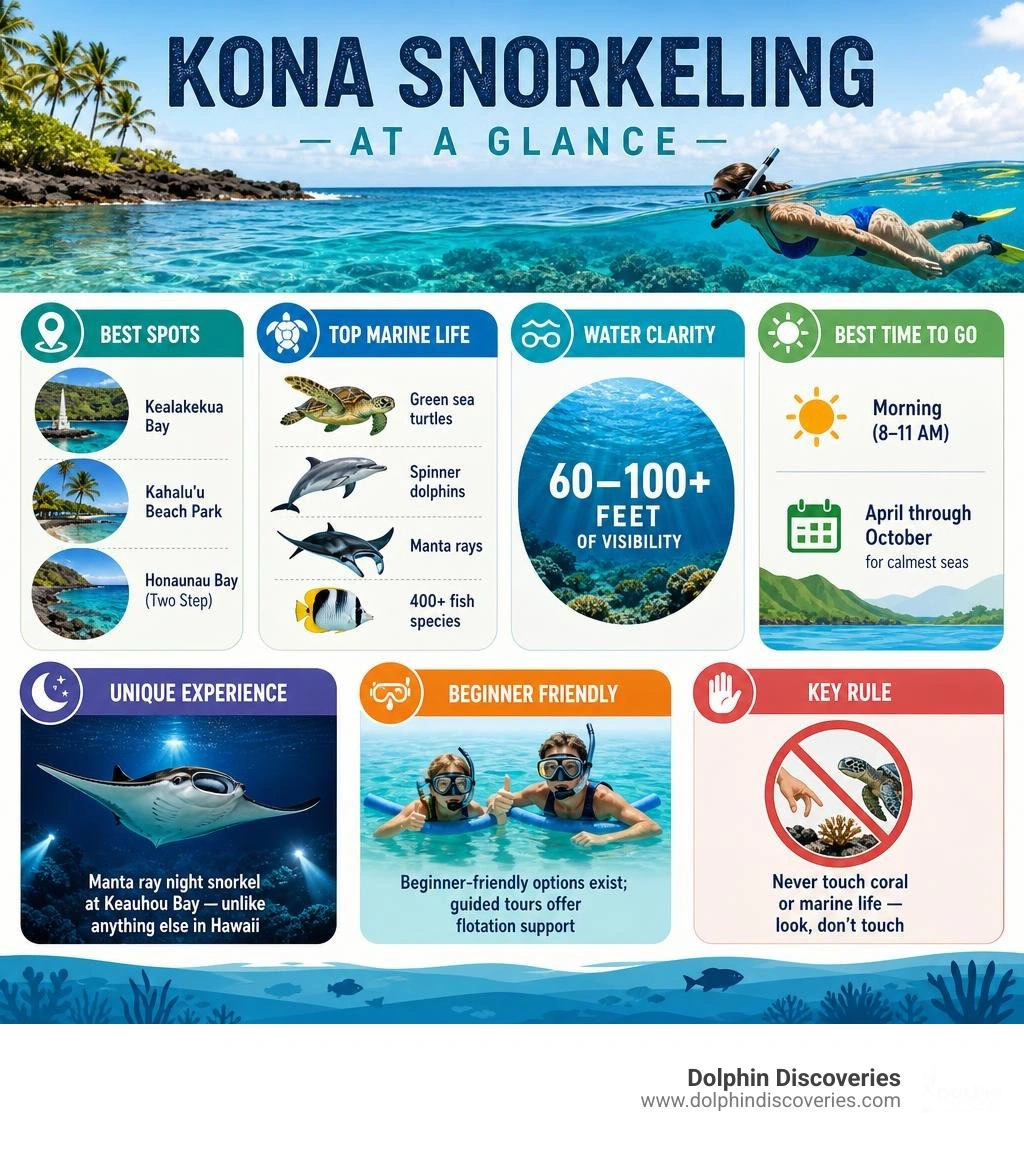 Overview infographic of Kona snorkeling: best spots, marine life, visibility, and best times infographic Overview infographic of Kona snorkeling: best spots, marine life, visibility, and best times infographic