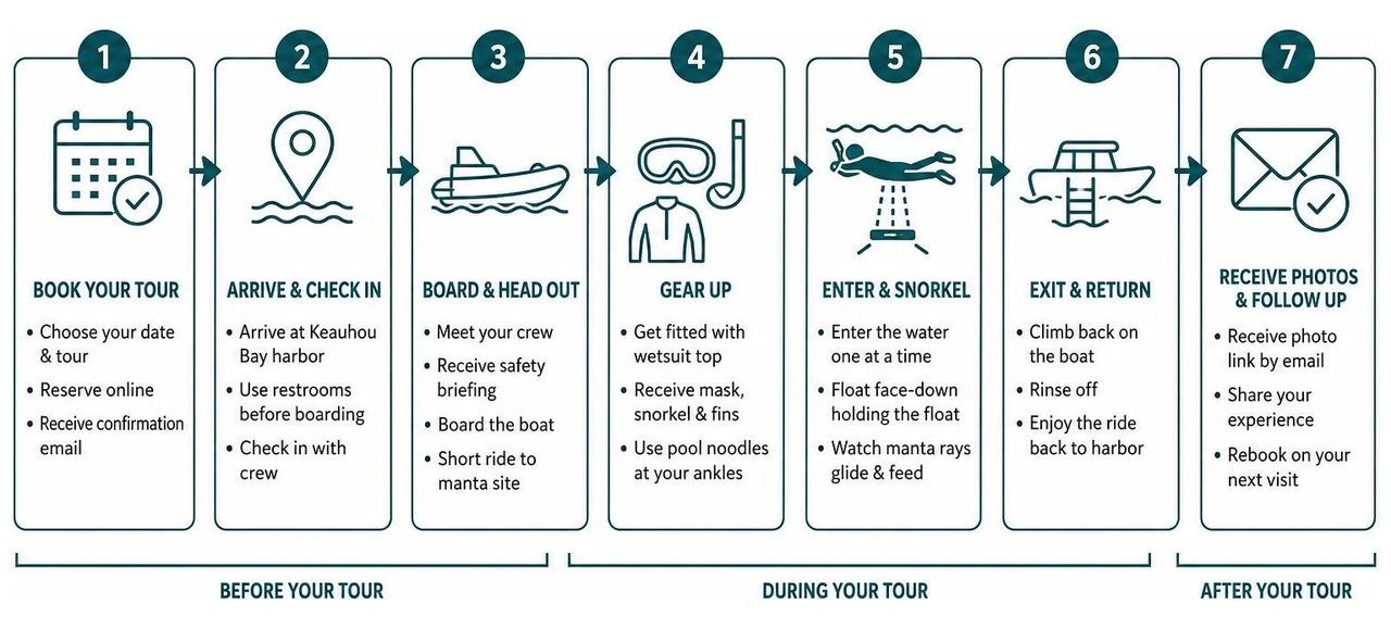 Step-by-step process of booking and completing a night manta ray snorkel in Kona Step-by-step process of booking and completing a night manta ray snorkel in Kona