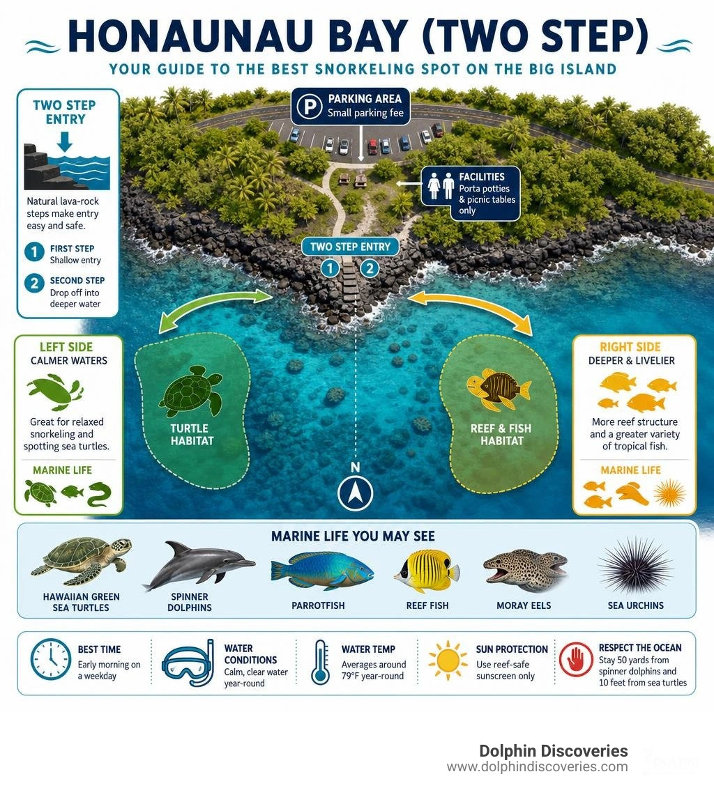 Honaunau Bay layout, Two Step entry points, left vs right side snorkeling zones, parking, and marine life areas infographic Honaunau Bay layout, Two Step entry points, left vs right side snorkeling zones, parking, and marine life areas infographic
