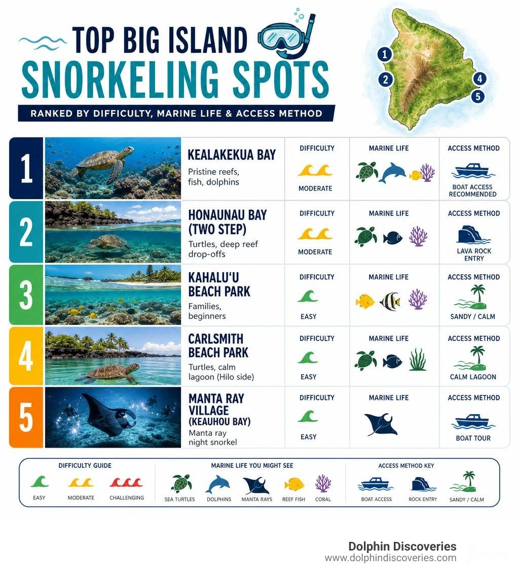 Top Big Island snorkeling spots ranked by difficulty, marine life, and access method infographic Top Big Island snorkeling spots ranked by difficulty, marine life, and access method infographic