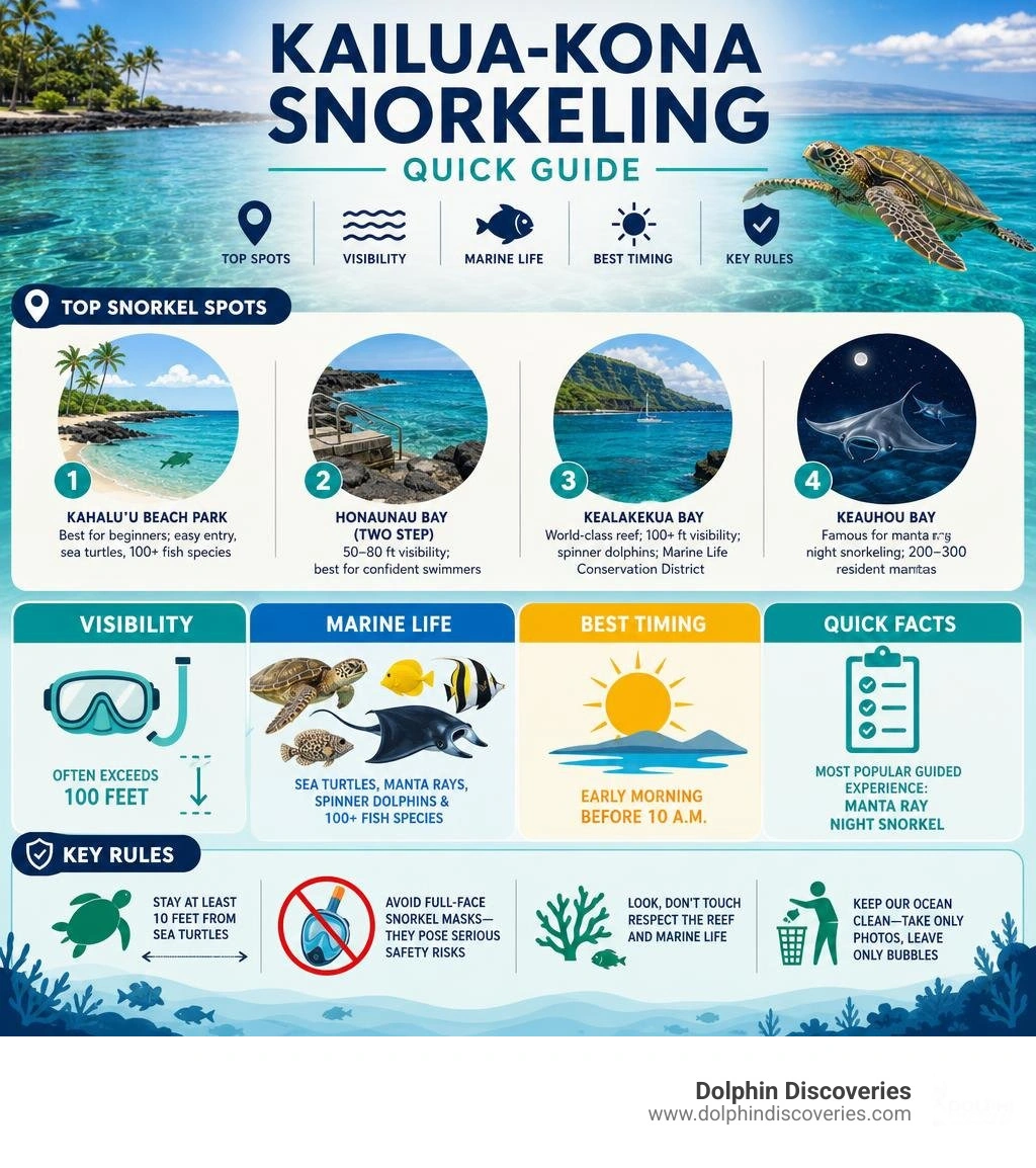 Kailua-Kona snorkeling quick guide: top spots, visibility, marine life, best timing, and key rules infographic Kailua-Kona snorkeling quick guide: top spots, visibility, marine life, best timing, and key rules infographic