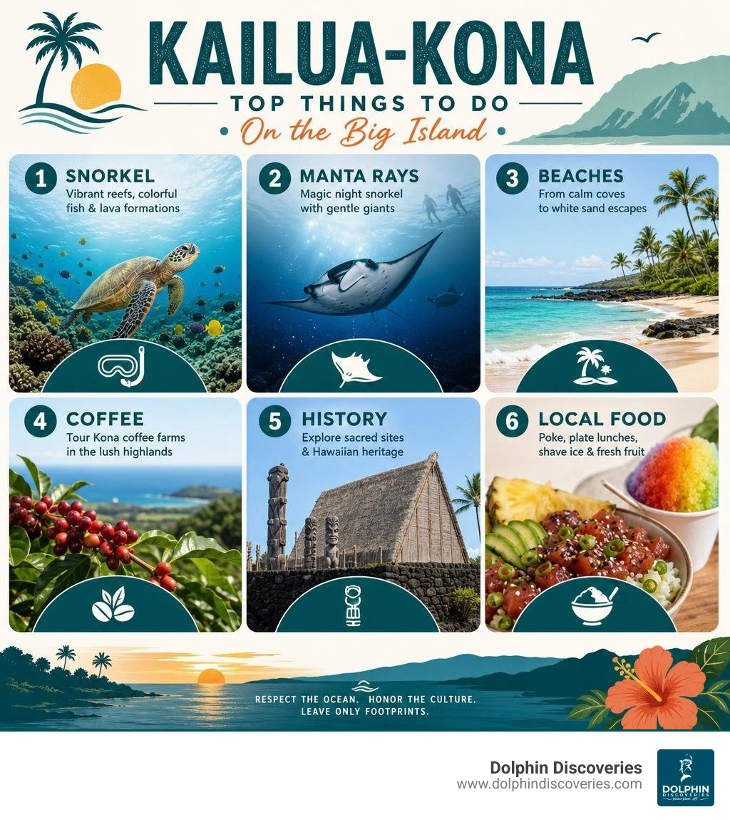 Kailua-Kona attractions: snorkeling, manta rays, beaches, coffee, history, and local food infographic Kailua-Kona attractions: snorkeling, manta rays, beaches, coffee, history, and local food infographic