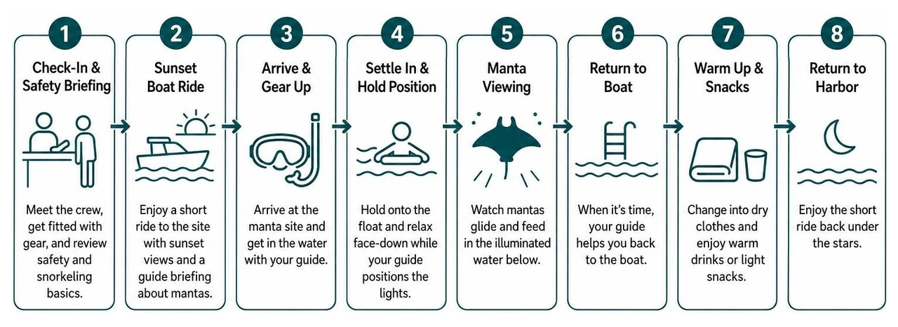Step by step timeline of a Kona manta ray night snorkel excursion Step by step timeline of a Kona manta ray night snorkel excursion