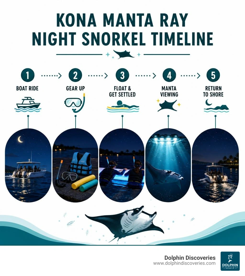 Kona manta ray night snorkel timeline: boat ride, gear, float board, manta viewing, return infographic Kona manta ray night snorkel timeline: boat ride, gear, float board, manta viewing, return infographic