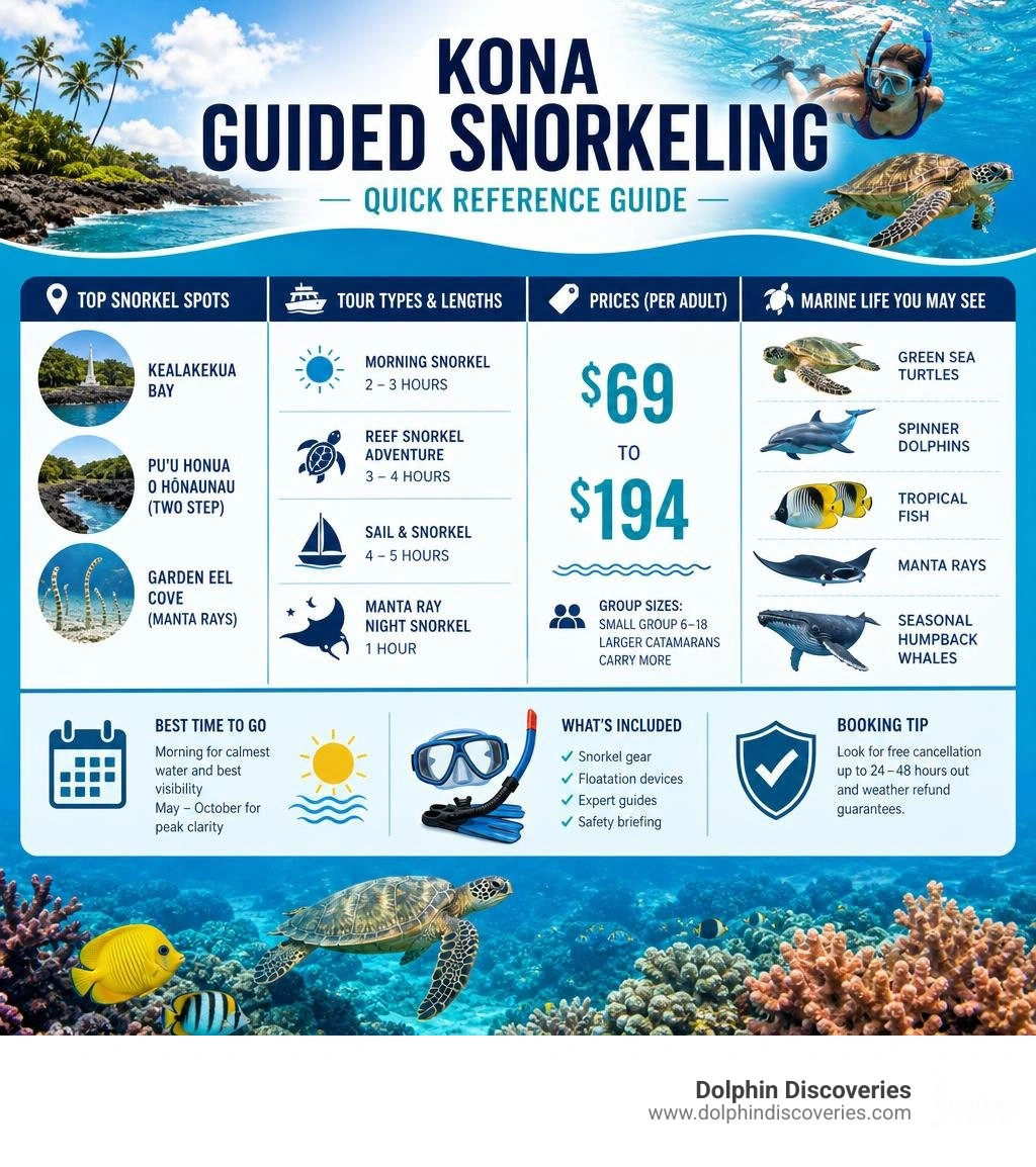 Kona guided snorkeling: top spots, tour types, prices, and marine life quick-reference infographic infographic Kona guided snorkeling: top spots, tour types, prices, and marine life quick-reference infographic infographic