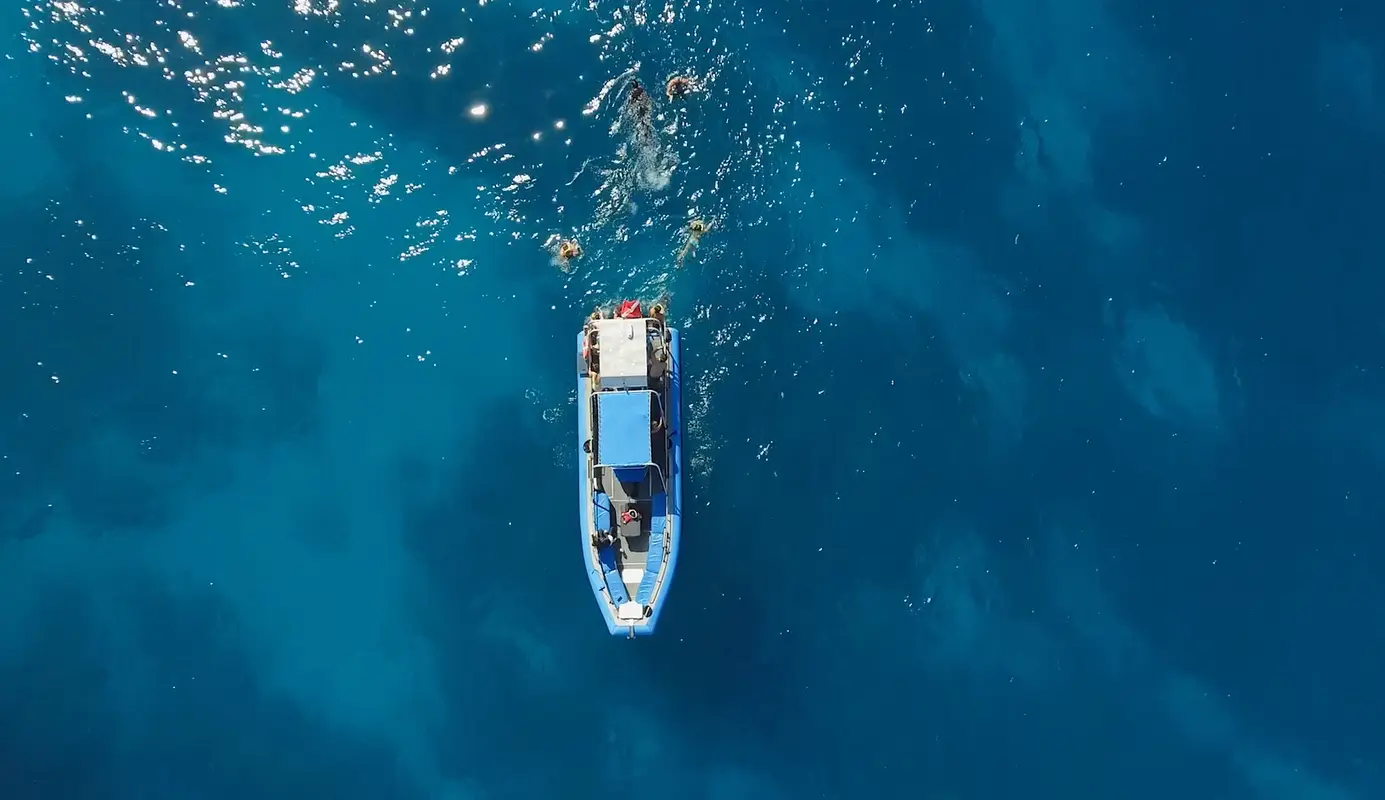 Kona Private Boat Tours | Dolphin Discoveries