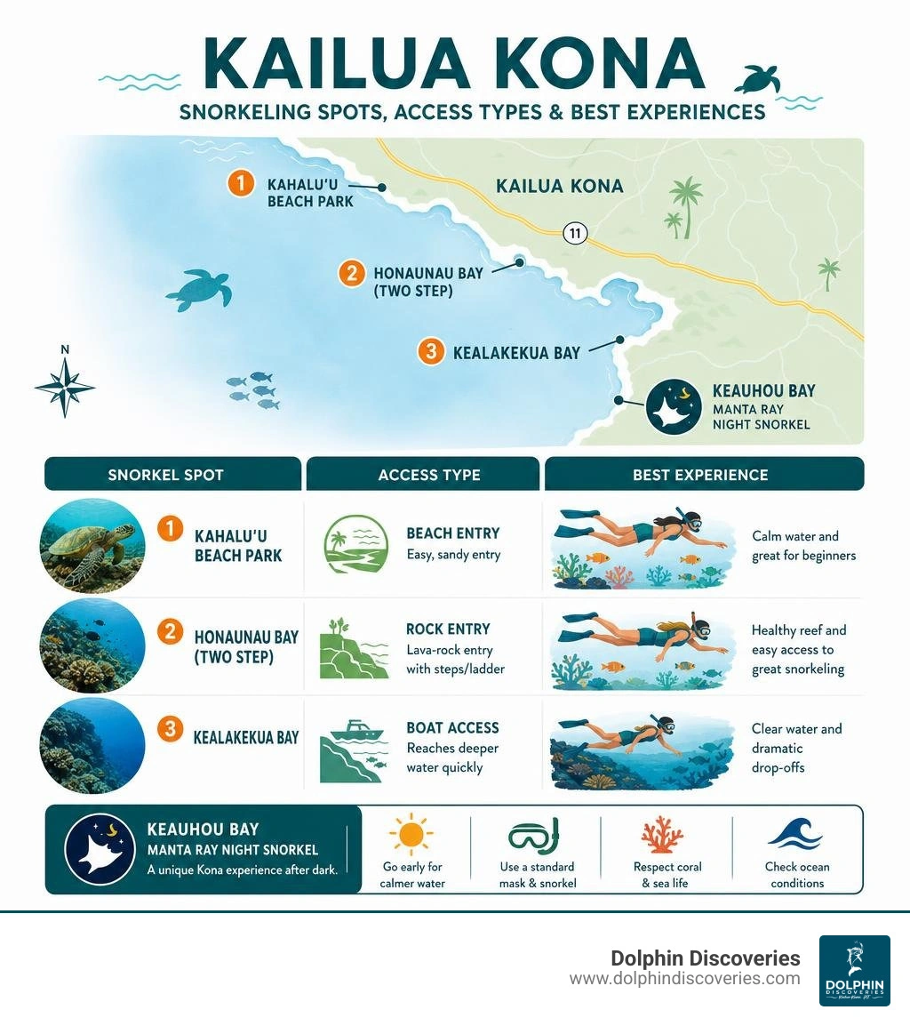 Kailua Kona snorkeling spots, access types, and best experiences infographic Kailua Kona snorkeling spots, access types, and best experiences infographic