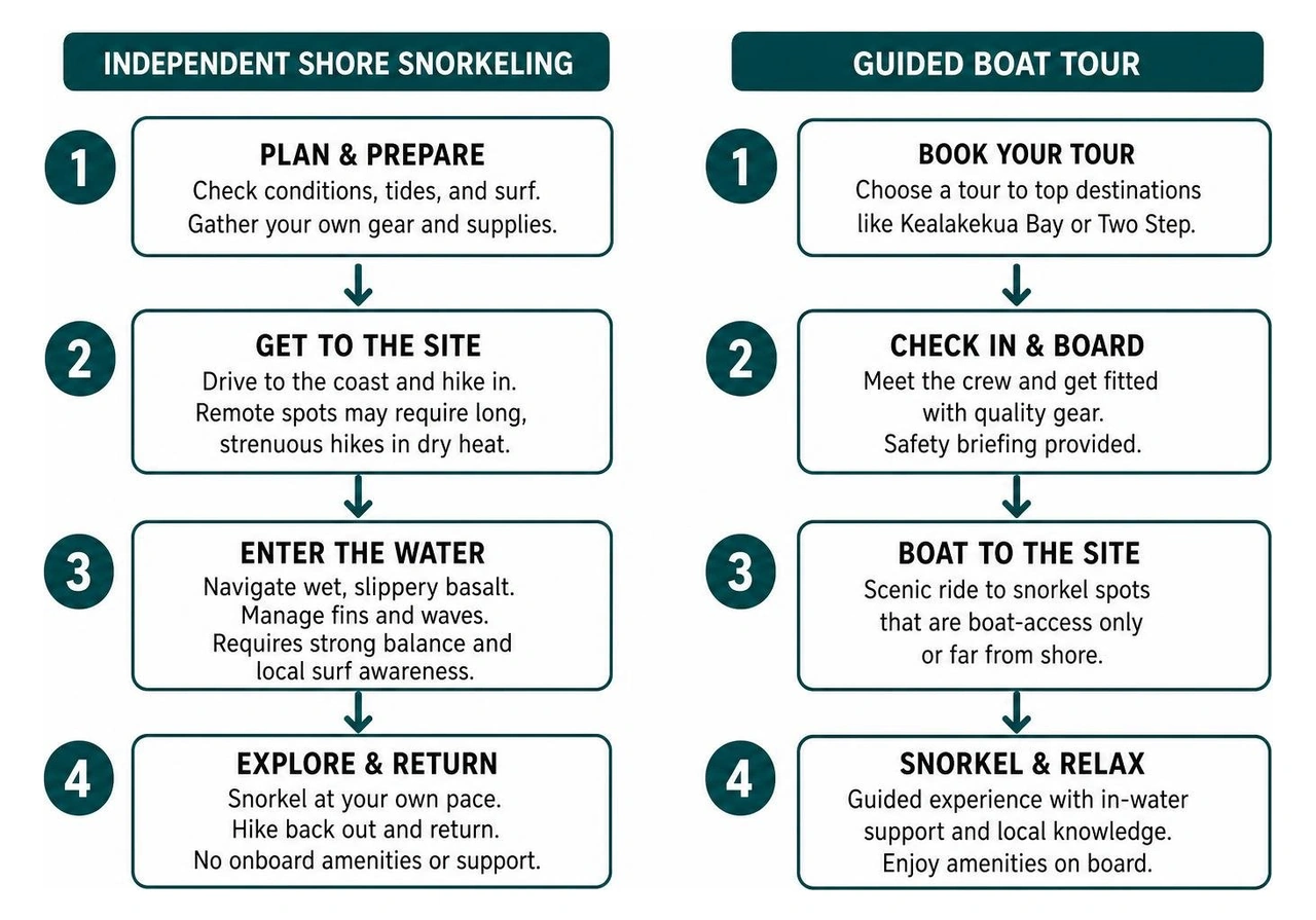 Independent shore snorkeling versus guided boat tour process Independent shore snorkeling versus guided boat tour process