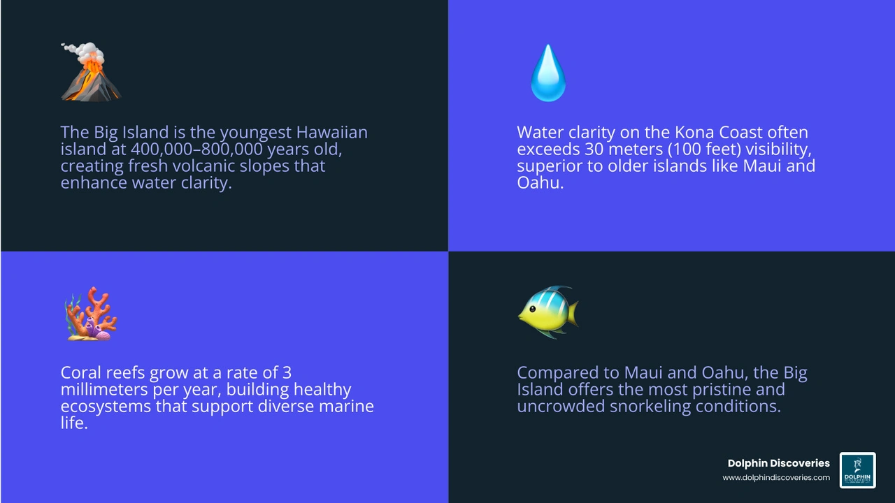 Top Big Island snorkeling spots, marine life, best time to visit, and access type infographic Top Big Island snorkeling spots, marine life, best time to visit, and access type infographic