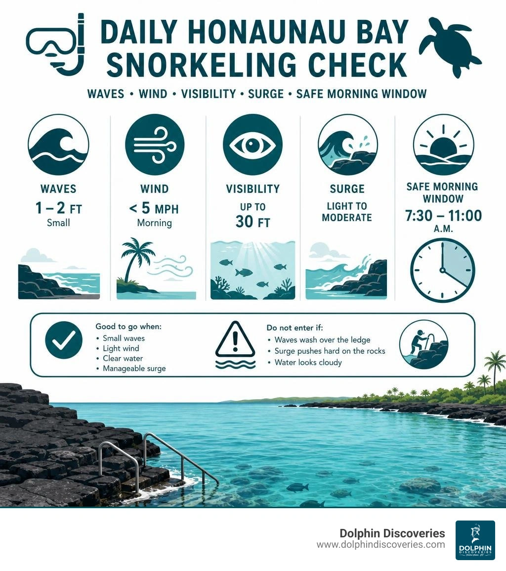 Daily Honaunau Bay snorkeling check: waves, wind, visibility, surge, and safe morning window infographic