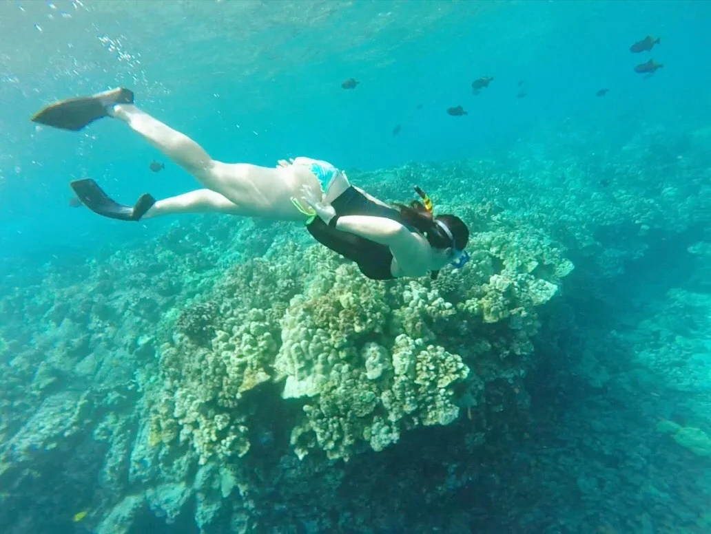 Vibrant coral shelf and underwater drop-off at Kealakekua Bay Vibrant coral shelf and underwater drop-off at Kealakekua Bay