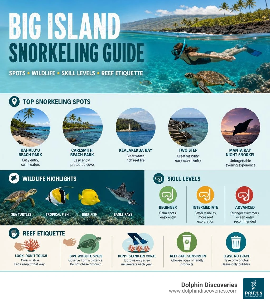 Big Island snorkeling spots, wildlife highlights, skill levels, and reef etiquette infographic Big Island snorkeling spots, wildlife highlights, skill levels, and reef etiquette infographic