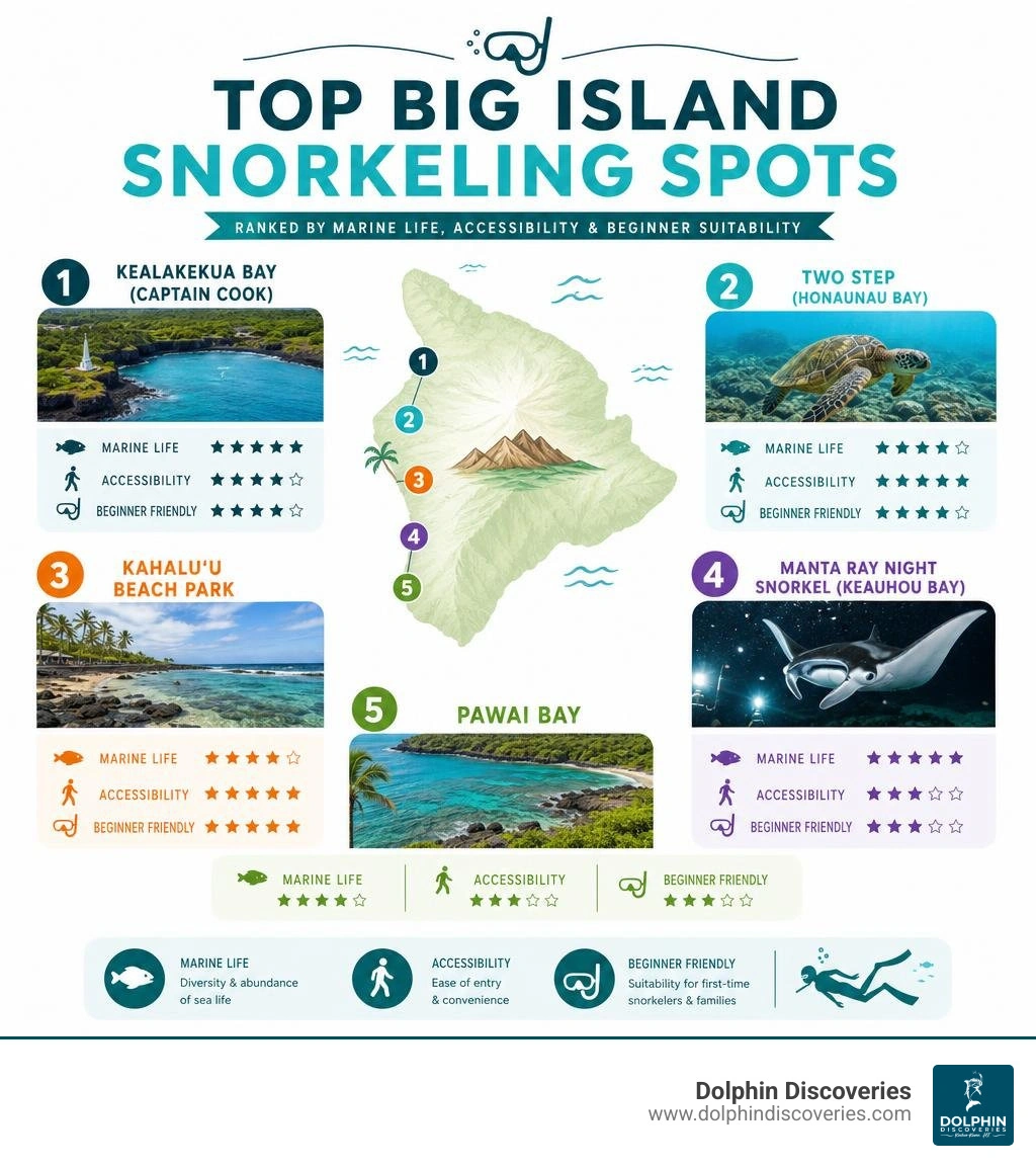 Top Big Island snorkeling spots ranked by marine life, accessibility, and beginner suitability infographic