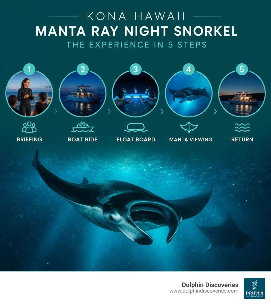 Kona manta ray night snorkel steps: briefing, boat ride, float board, manta viewing, return infographic Kona manta ray night snorkel steps: briefing, boat ride, float board, manta viewing, return infographic