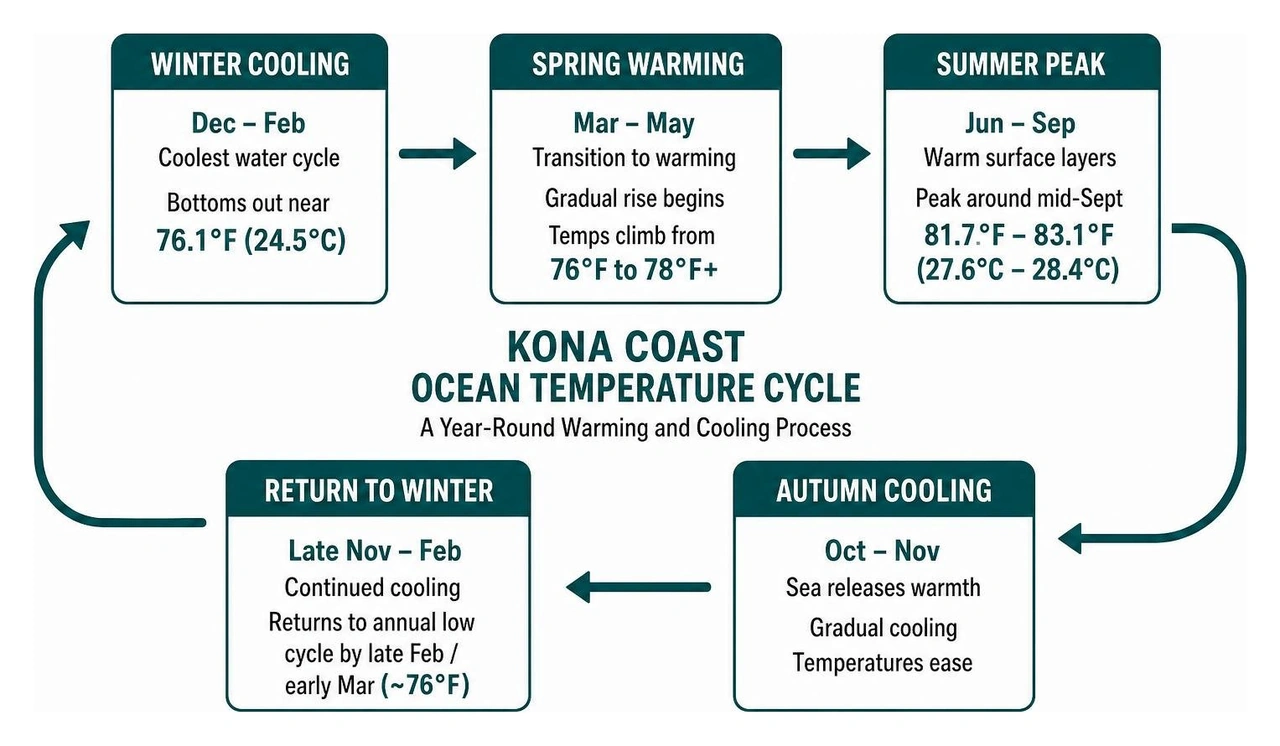 Process of seasonal ocean warming and cooling cycles along Kona Coast