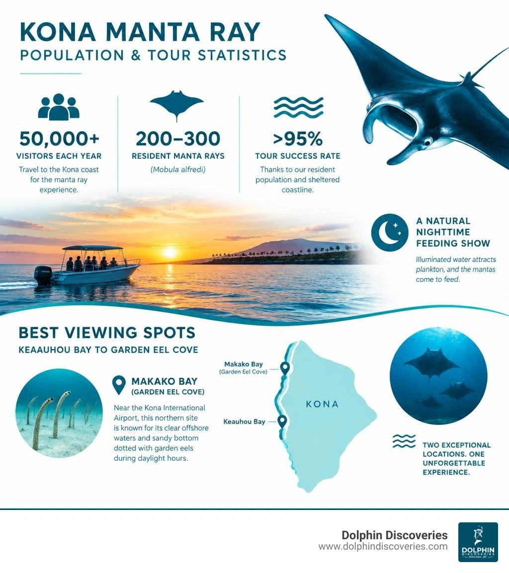 Kona manta ray population and tour statistics infographic infographic Kona manta ray population and tour statistics infographic infographic