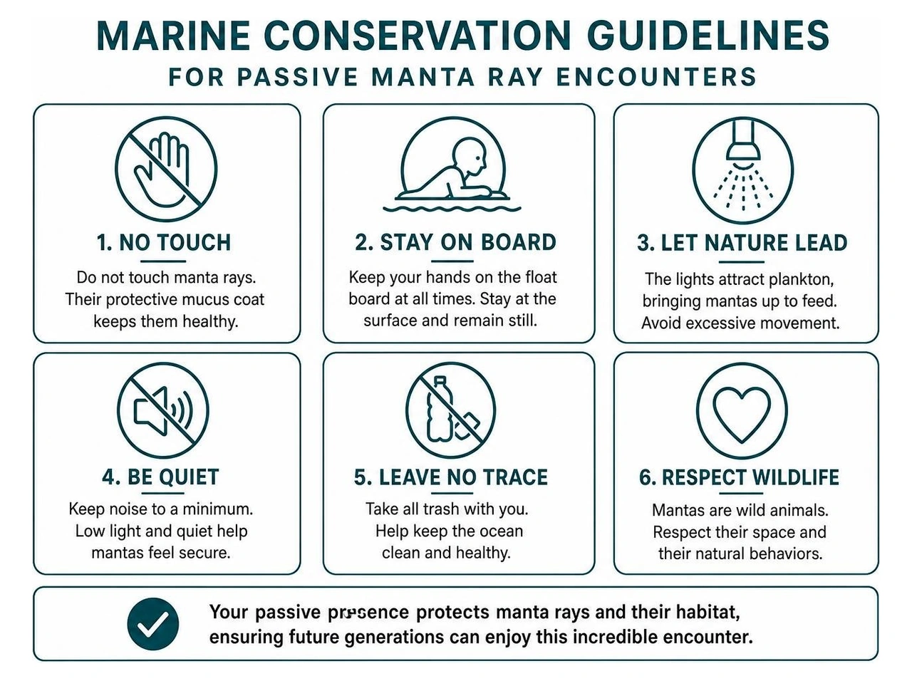 marine conservation guidelines for passive manta ray encounters