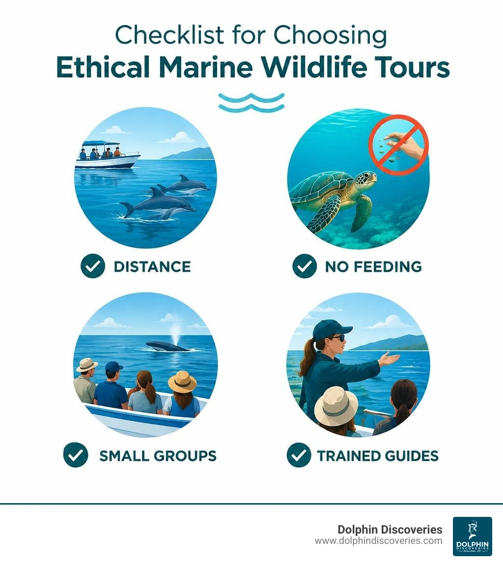Checklist for choosing ethical marine wildlife tours: distance, no feeding, small groups, trained guides infographic Checklist for choosing ethical marine wildlife tours: distance, no feeding, small groups, trained guides infographic