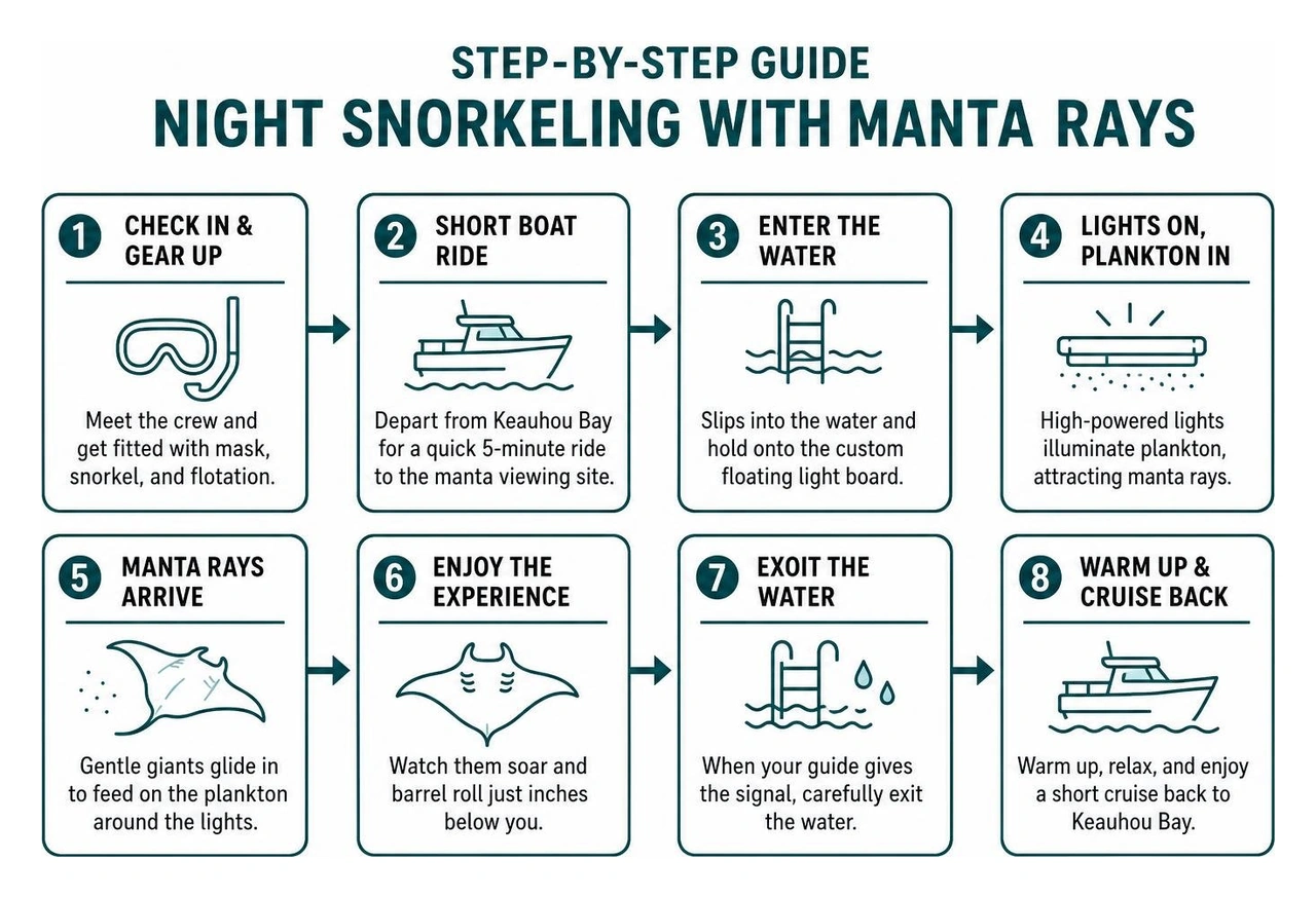 Step by step guide to night snorkeling with manta rays Step by step guide to night snorkeling with manta rays