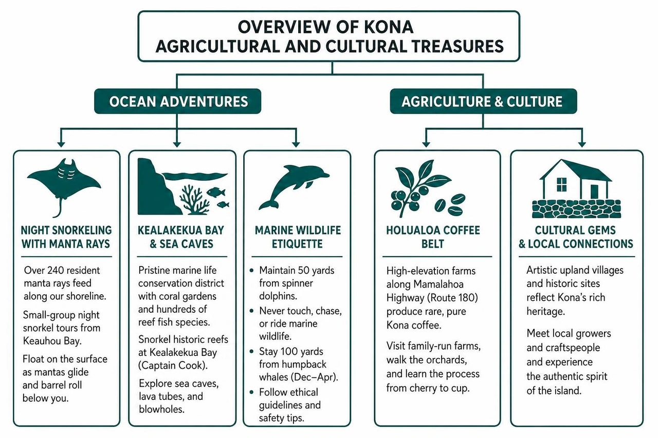 Overview of Kona agricultural and cultural treasures Overview of Kona agricultural and cultural treasures