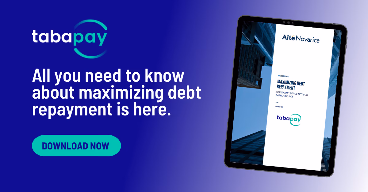 Maximizing Debt Repayment: Speed and Efficiency for Improved ROI