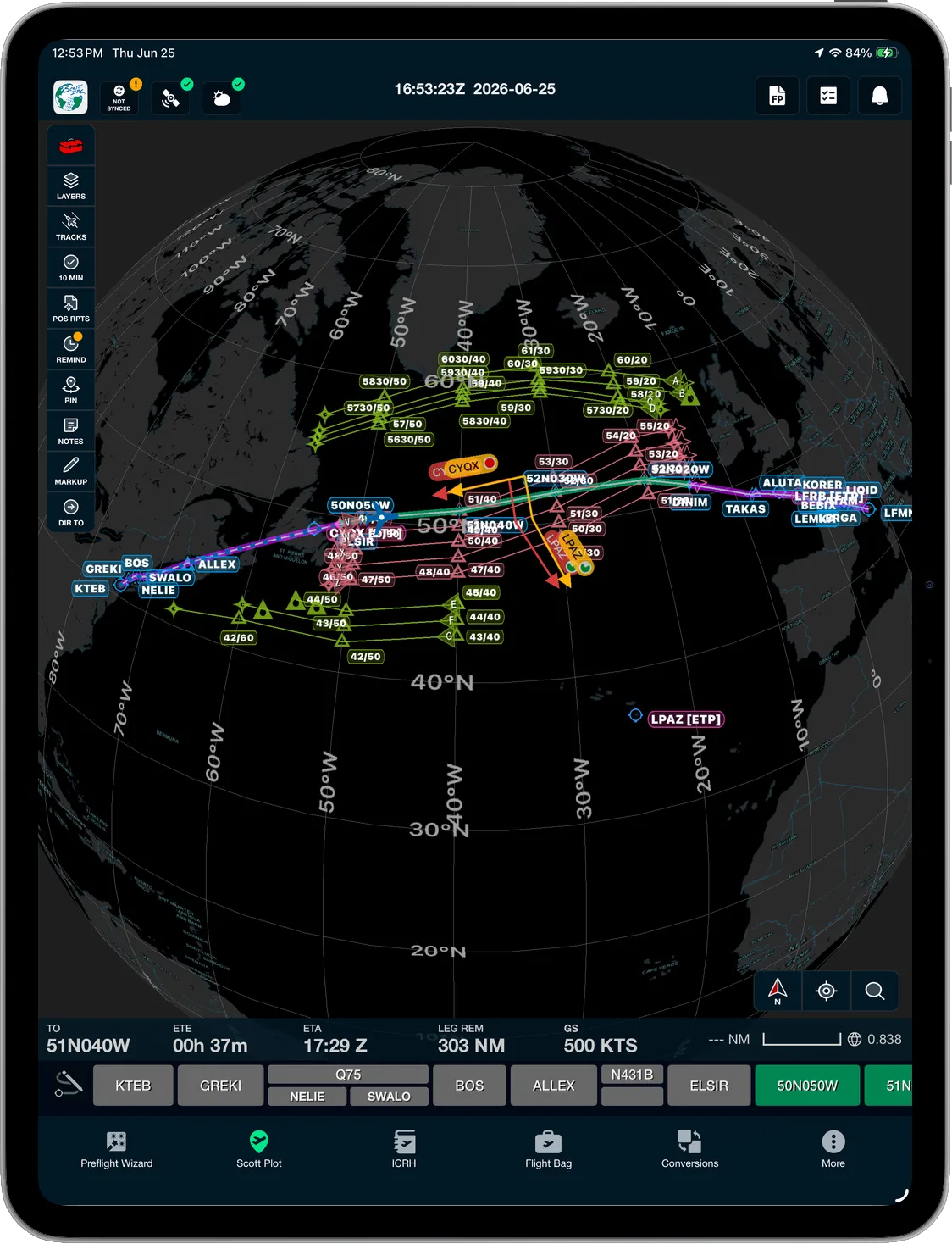 Scott Plot® on iPad showing the global oceanic route network