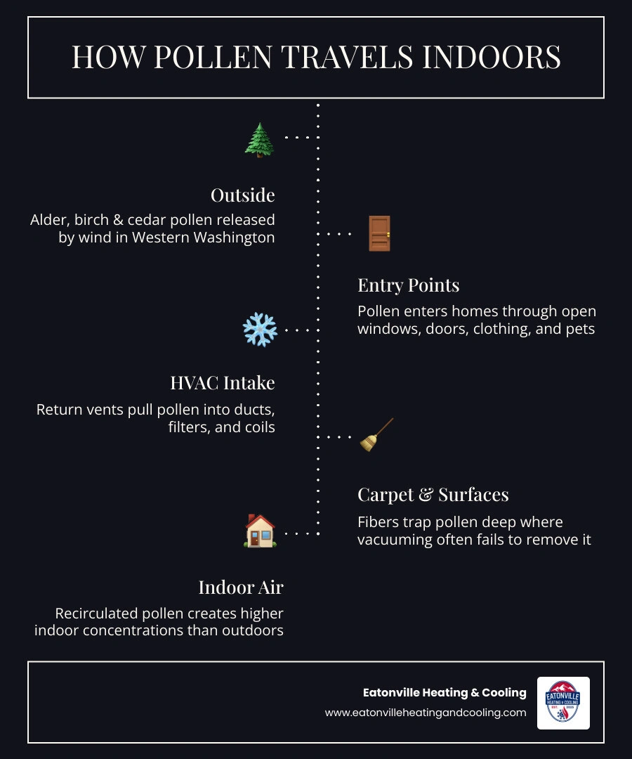 Infographic showing how outdoor pollen travels indoors through windows, doors, pets, and HVAC systems in Western Washington Infographic showing how outdoor pollen travels indoors through windows, doors, pets, and HVAC systems in Western Washington