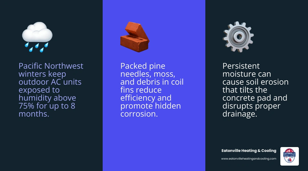 Infographic showing 8 post-winter outdoor AC unit checks for Pacific Northwest homeowners infographic