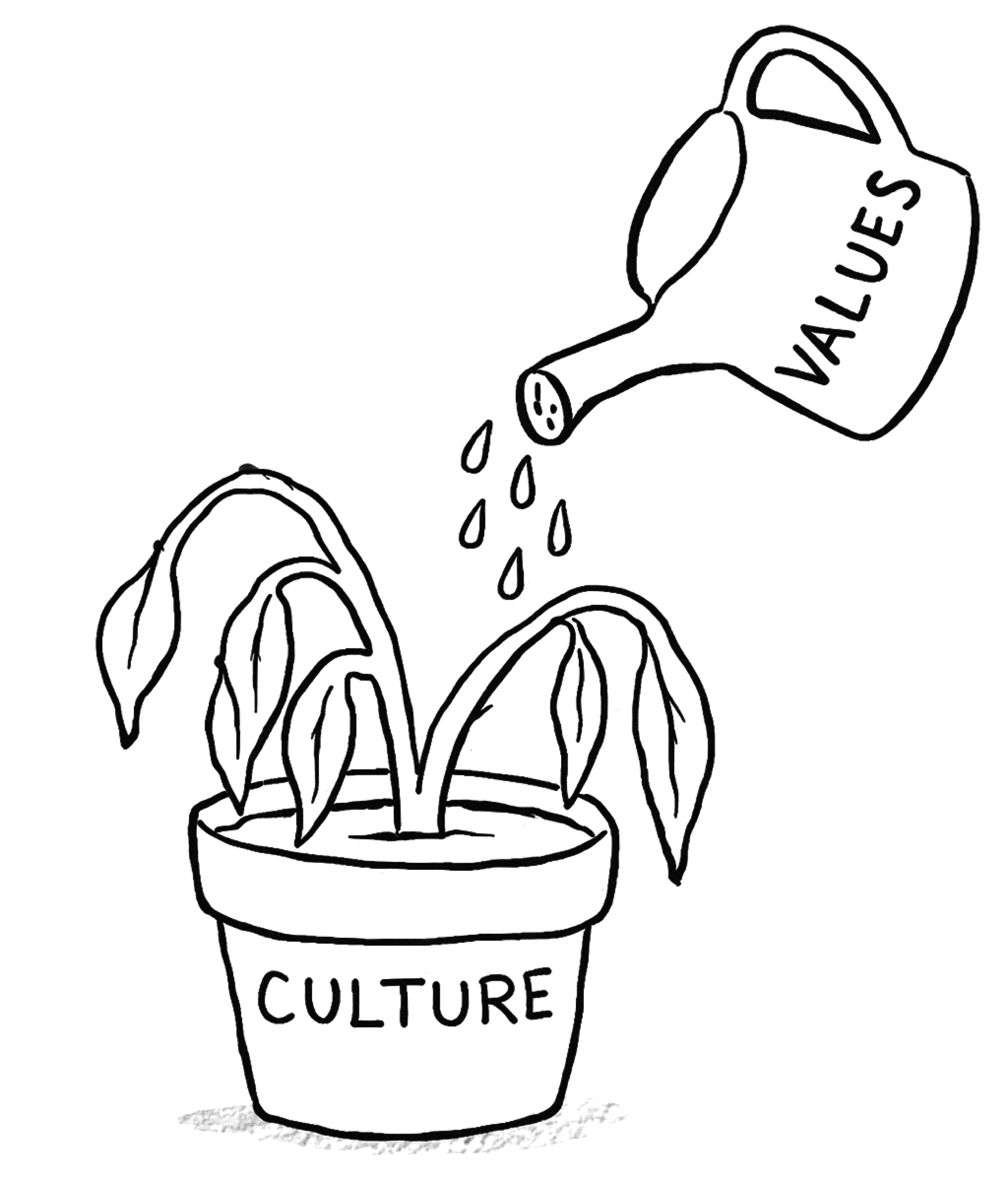 Line sketch of a watering can with 'values' written on it, watering a plant with 'culture' written on it.
