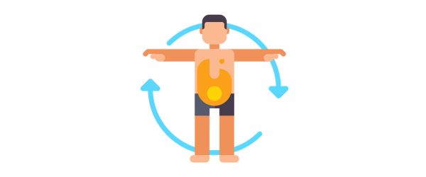 Hydratation et Métabolisme