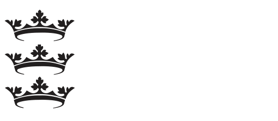 Hull City Council logo
