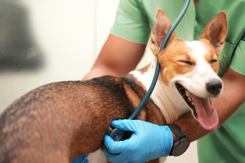 Diagnostics