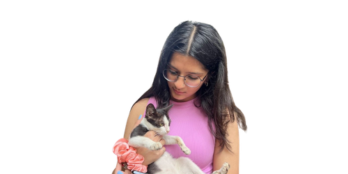 Pet