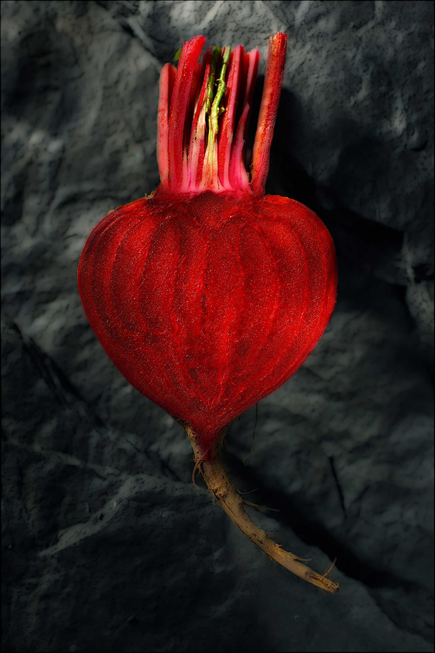 Beetroot - Food Photography © David Cantwell Photography