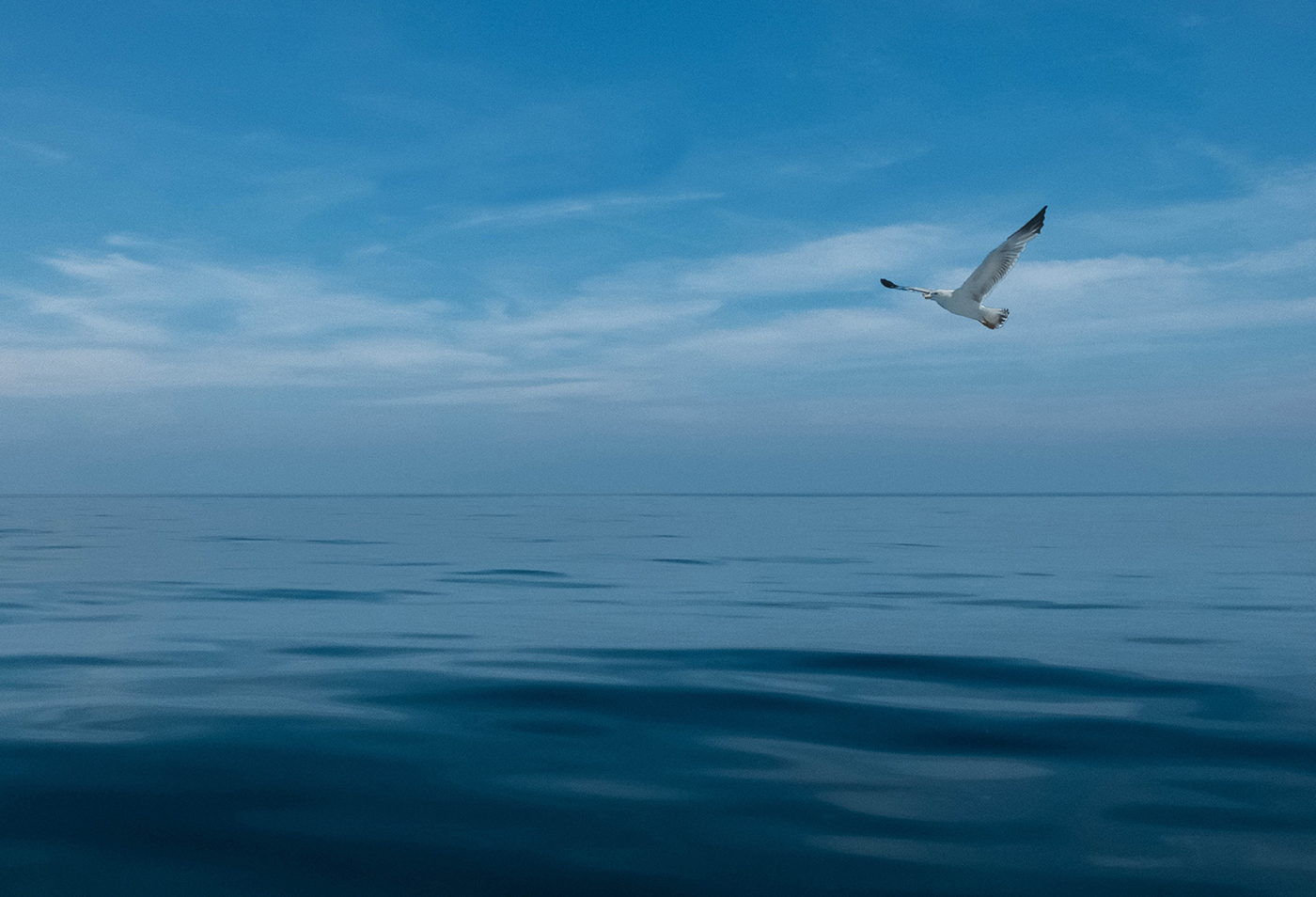 Seascape - Landscape Photography © David Cantwell Photography