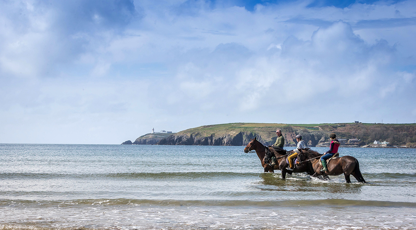 Horse Riding at the Sea - Landscape Photography © David Cantwell Photography