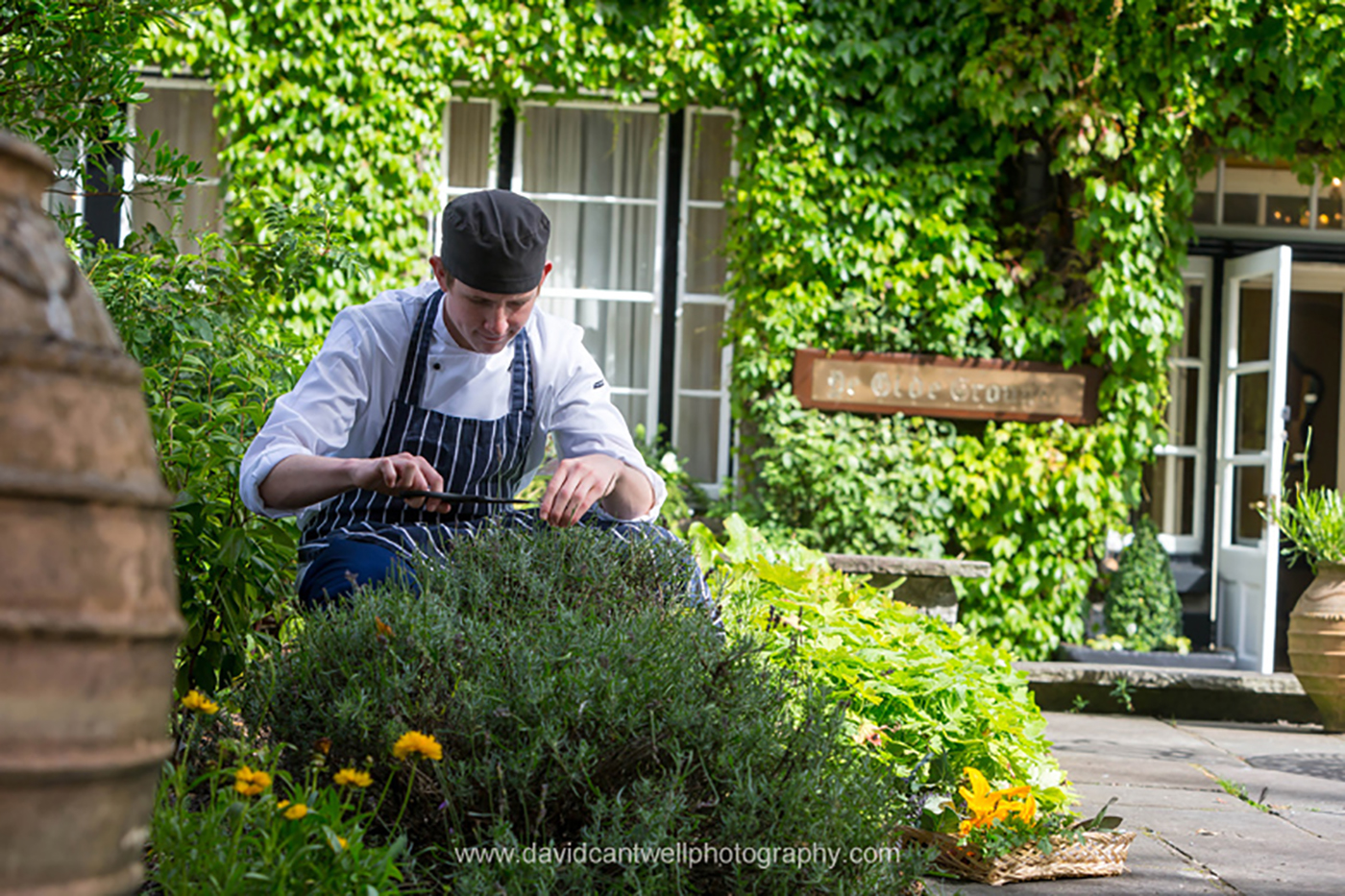Chef Picking Herbs @ Summer  - Seasonal Commercial Photography © David Cantwell Photography