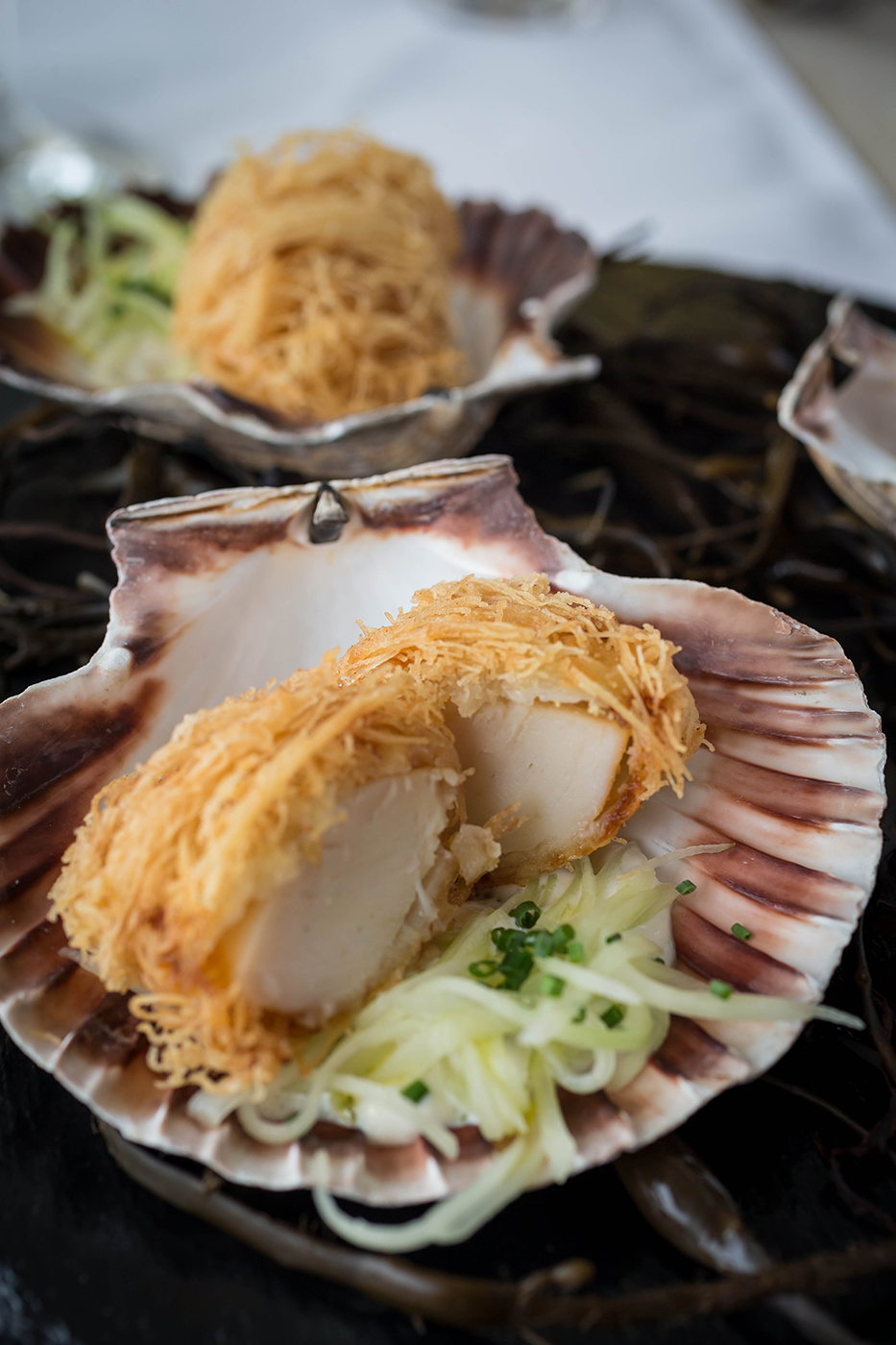 Scallops in a Shell - Seafood Food Photography © David Cantwell Photography