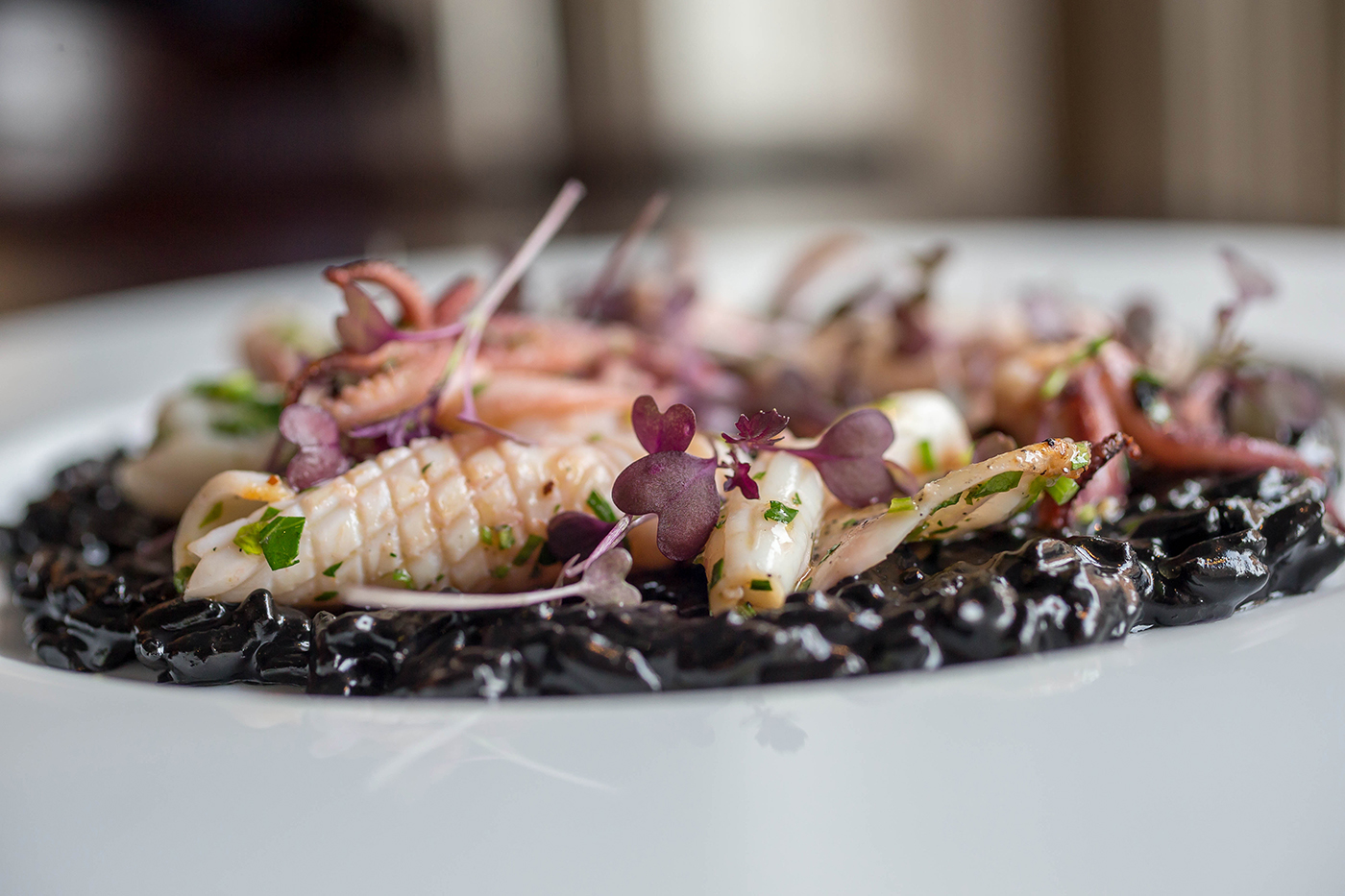 Calamari in a Bed of Squid ink Risotto - Seafood Food Photography © David Cantwell Photography