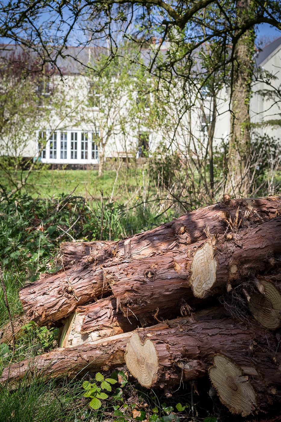 B&B Garden - Interiors Photographer © David Cantwell Photography