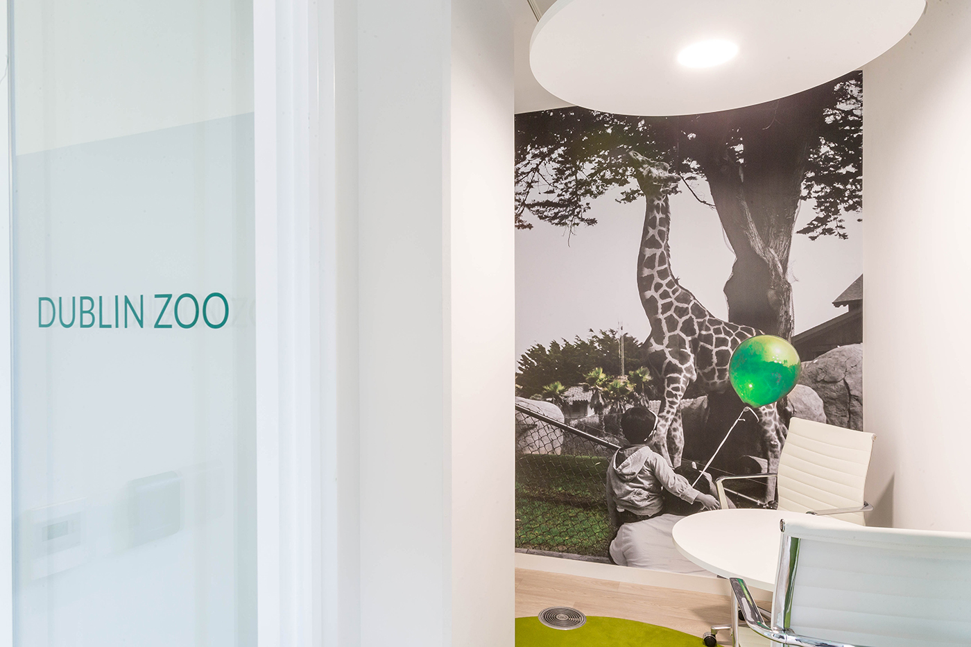interiors-photographer-office-dublin-zoo.jpg