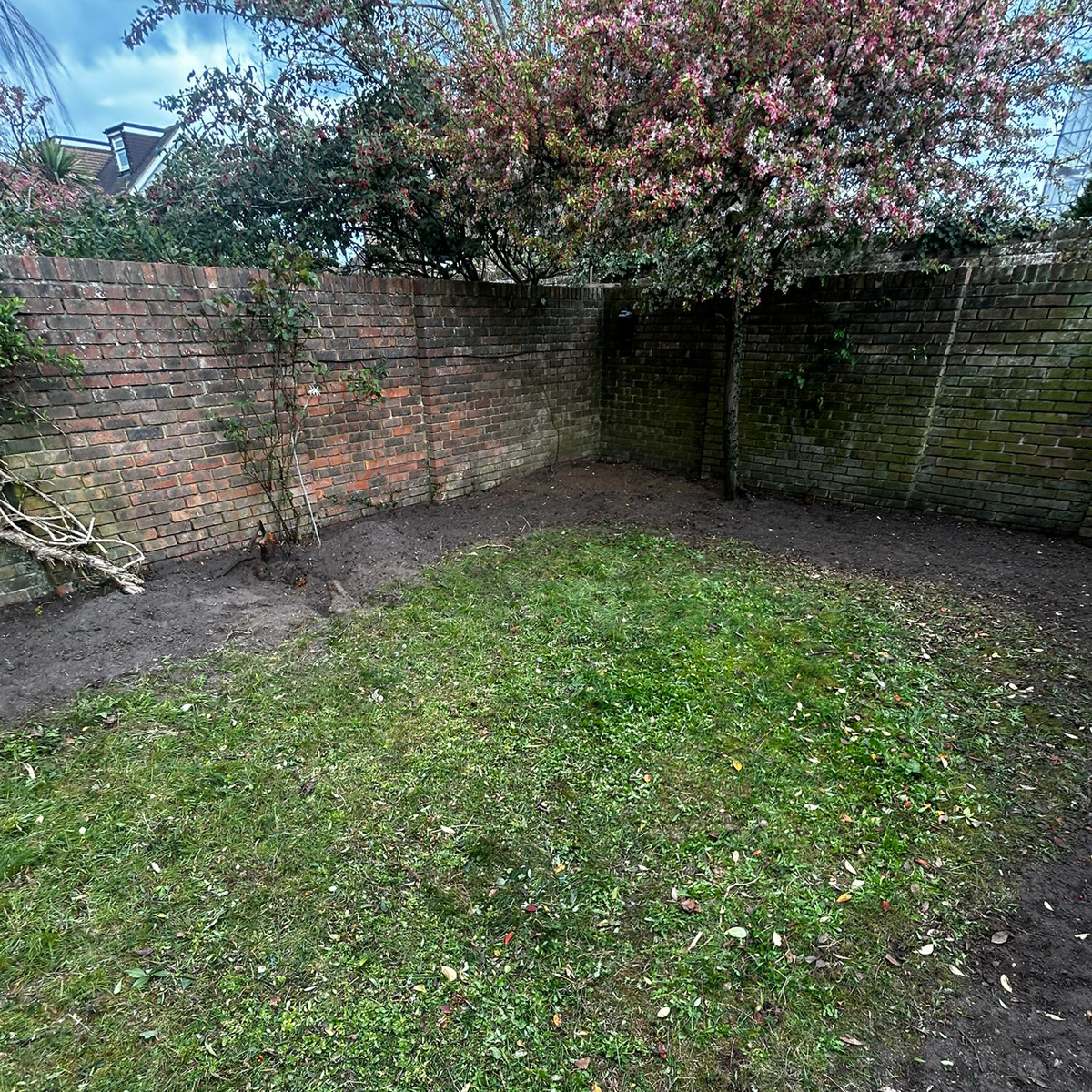 Garden6