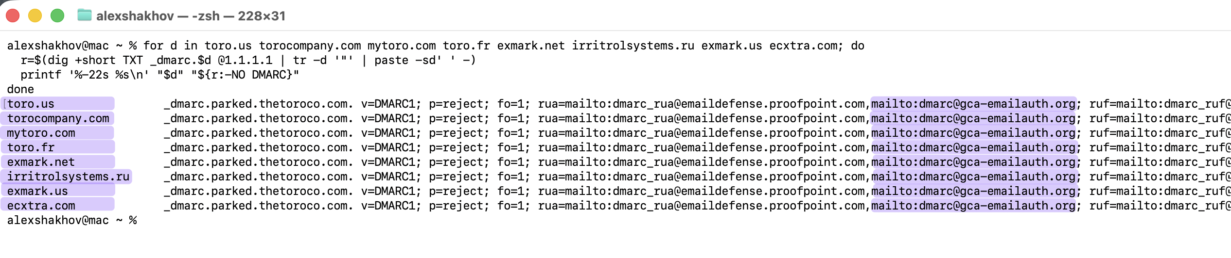 Portfolio sweep across eight Toro domains, all CNAMEing to _dmarc.parked.thetoroco.com with an identical TXT value