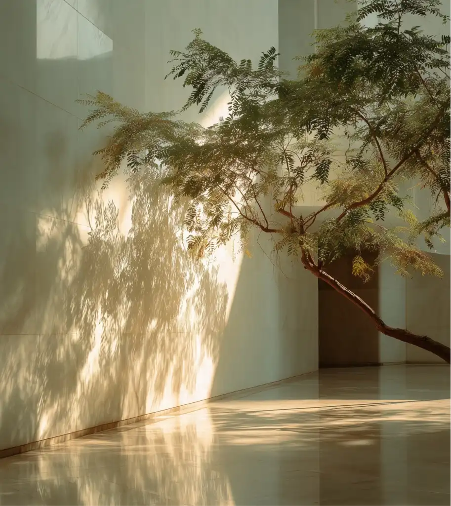 Un arbre avec des feuilles vertes dont l'ombre est projetée sur un mur blanc dans un couloir lumineux.