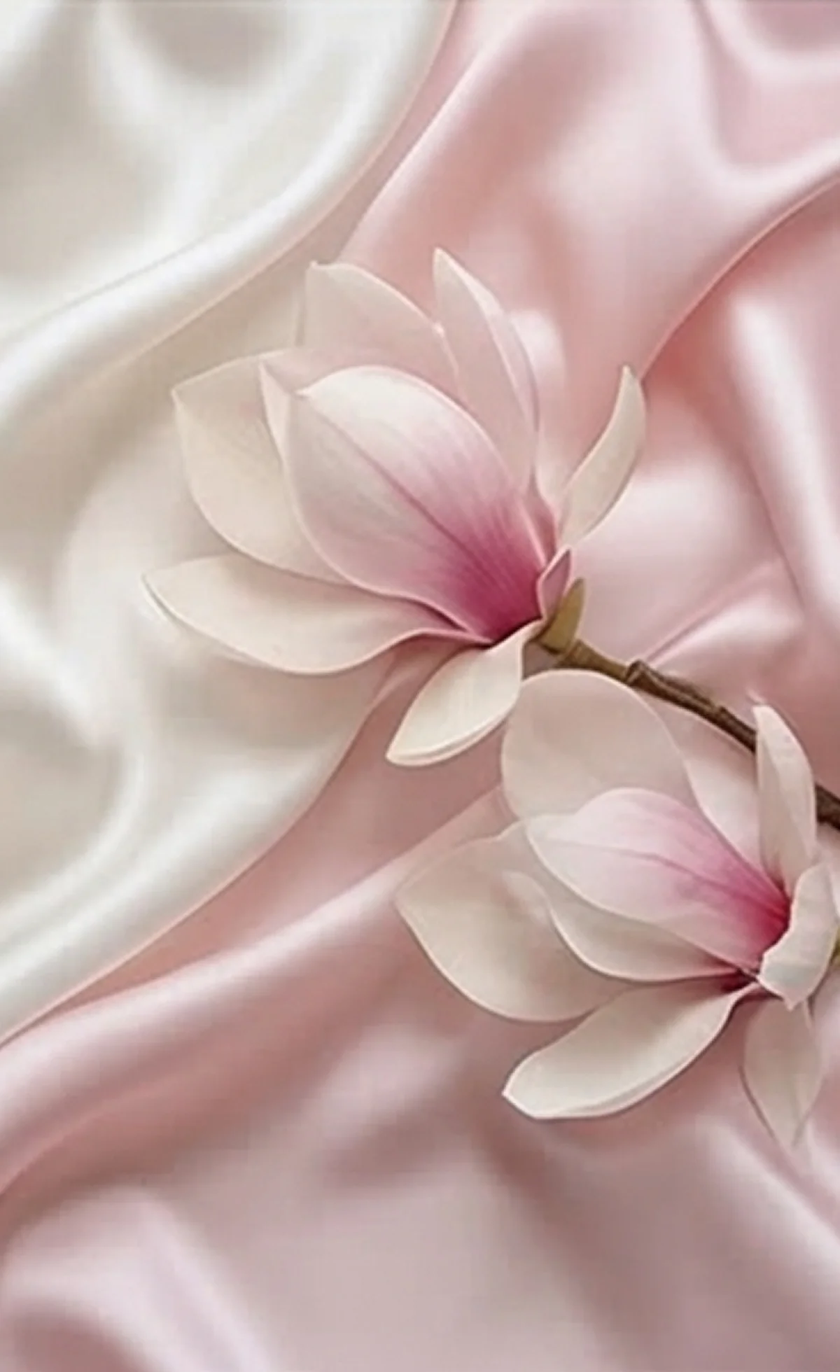 Two delicate pink and white magnolia flowers resting on soft, silky pink and white fabric.