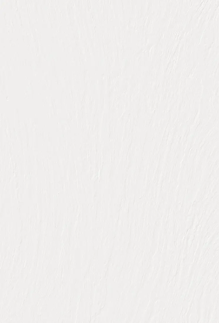 Lamina Ardesia Bianco Laminam