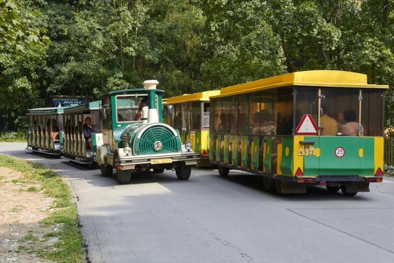 Žlutozelený turistický vláček se dvěma vagony na asfaltové cestě obklopené zelenými stromy.
