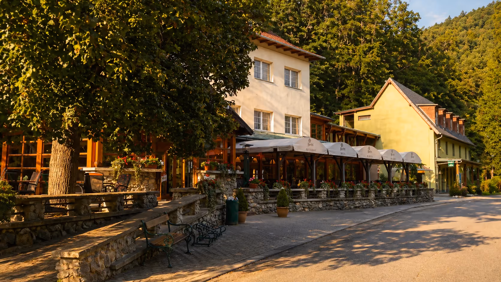 Venkovní terasa restaurace s květinami, lavičkami a stromy u silnice v klidné lesní oblasti za svítání.