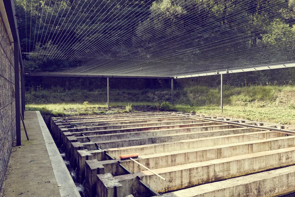 Ochranná síť natažená nad betonovou strukturou v přírodním prostředí s trávou a stromy.