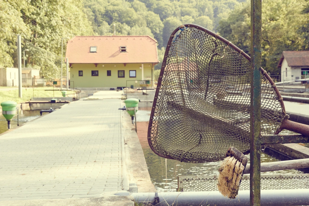 Rybolovná síť na kovové tyči u rybníků s budovou a stromy v pozadí.